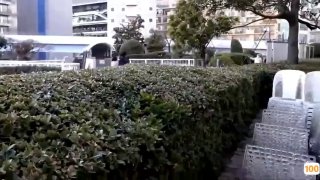 逐步肉丝阿姨女上位